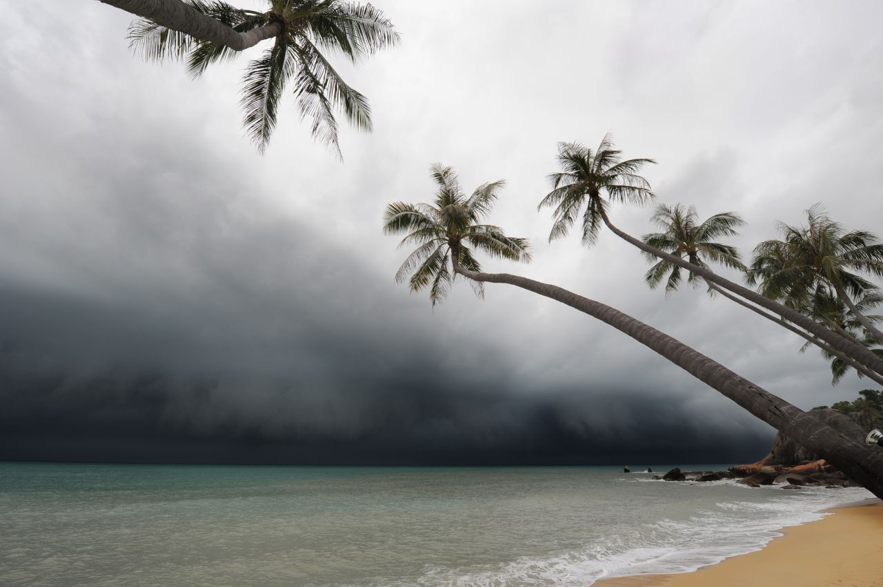 Auch Taifune entstehen durch warme Meeres-Temperaturen. Warme Luft steigt auf und die Luftmassen drehen sich wie eine Spirale zu einem Wirbelsturm auf. Taifune bezeichnen aber nur die Stürme im Nordwesten des Pazifischen Ozeans. Treffen sie auf Küsten, sind es vor allem die Chinas und Japans.