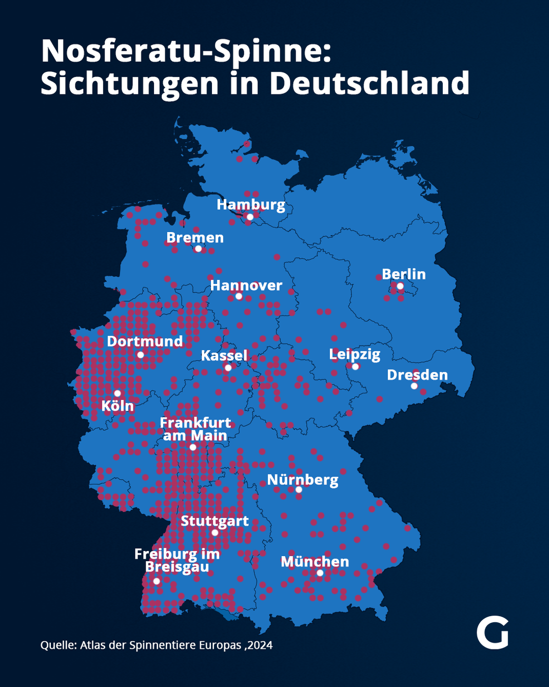 Nosferatu-Spinne: Sichtungen in Deutschland