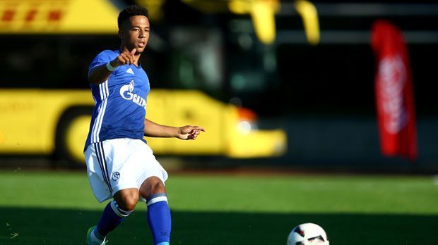 
                <strong>Abwehr: Thilo Kehrer (FC Schalke 04)</strong><br>
                Abwehr: Sein Bundesliga-Debüt hat Thilo Kehrer bereits hinter sich. Beim 3:0 der Schalker gegen Wolfsburg am 20. Spieltag der vergangenen Saison wurde der 19-Jährige in der 90. Minute eingewechselt. In dieser Saison will der vielseitige Youngster den Durchbruch in der ersten Mannschaft schaffen. Kehrer ist flexibel einsetzbar. Ob im defensiven Mittelfeld, in der Innenverteidigung oder als Rechtsaußen, der U-Nationalspieler aus der Schalker Talentschmiede fühlt sich auf vielen Positionen zu Hause.
              