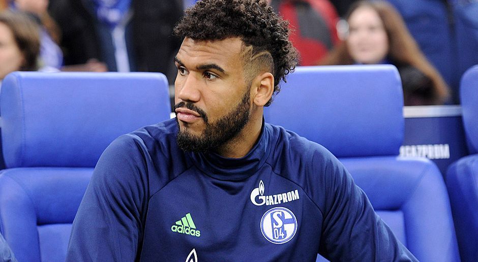 
                <strong>Eric Maxim Choupo-Moting (FC Schalke 04)</strong><br>
                Eric Maxim Choupo-Moting (FC Schalke 04): Ohne Note.
              