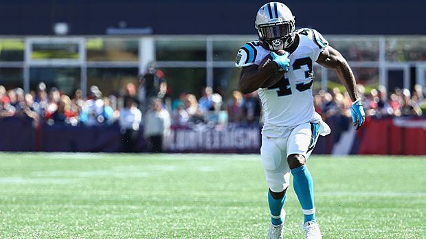 
                <strong>Fozzy Whittaker</strong><br>
                Fozzy Whittaker - Running Back (Carolina Panthers)
              