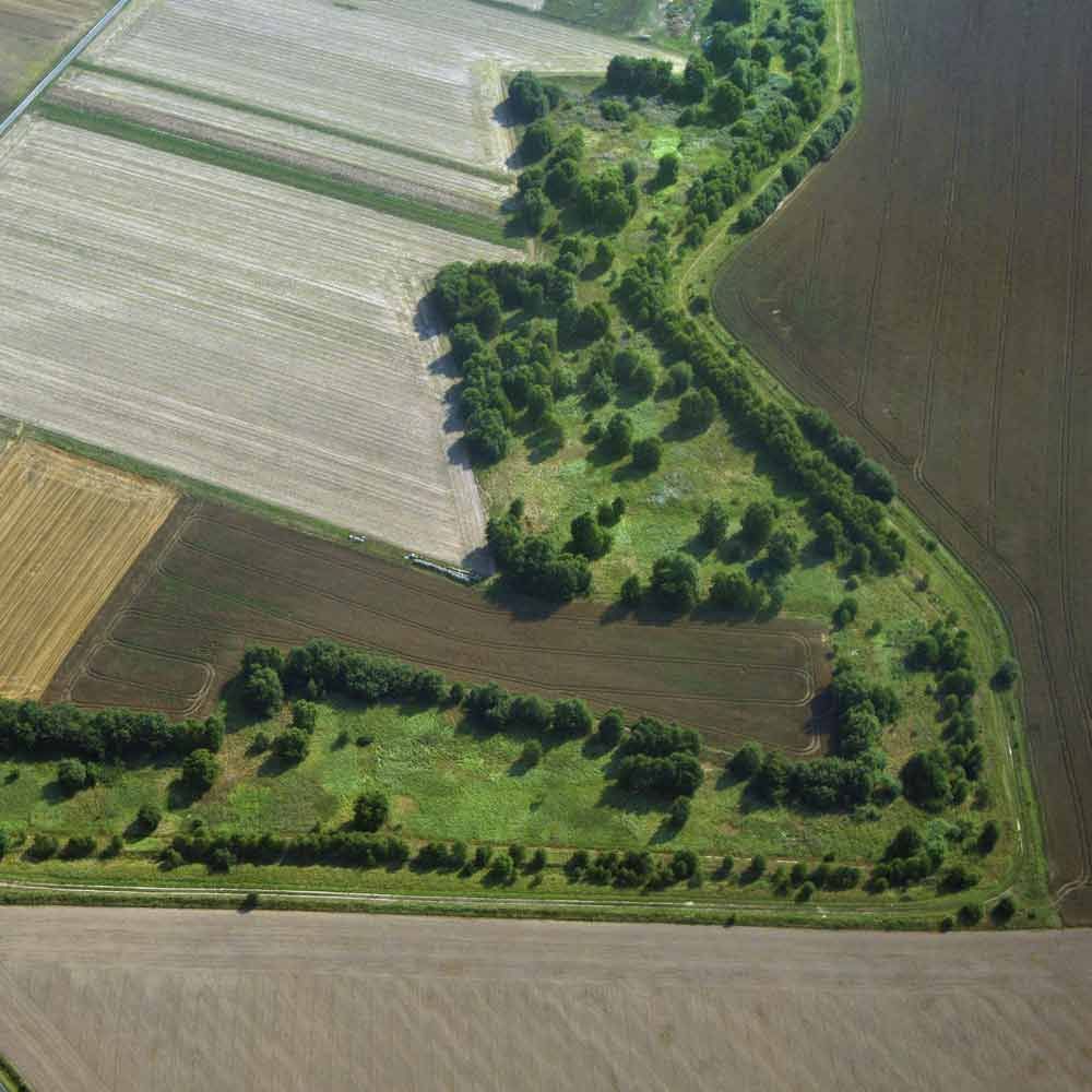 Das Naturwunder ist durchschnittlich 50 bis 200 Meter breit. 