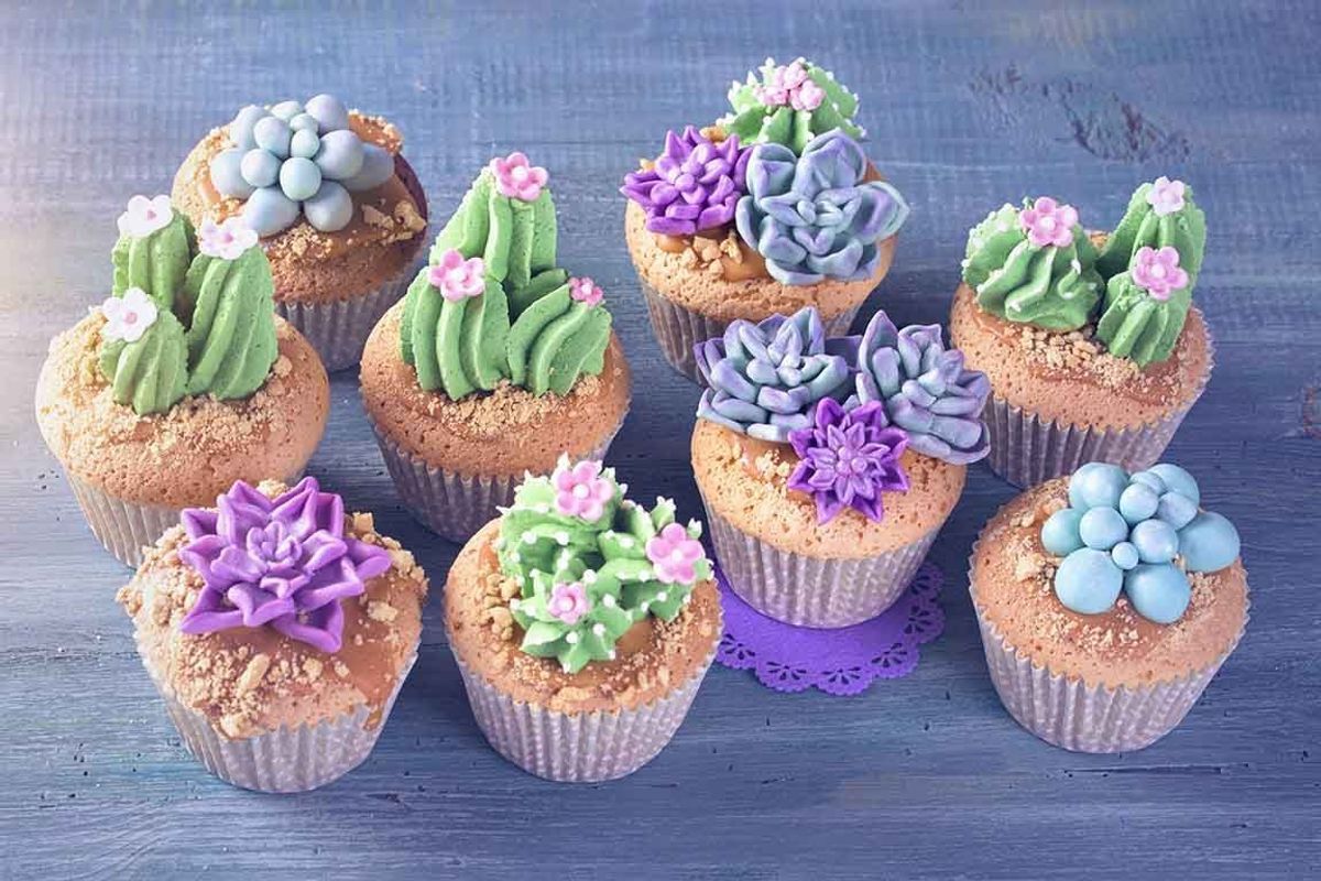 Kaktus-Muffins