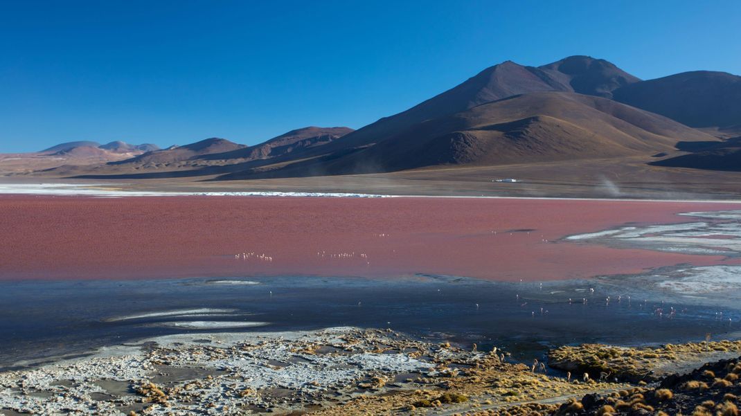 Rund um den flachen Salzsee Laguna Colorada stehen hohe Berge.