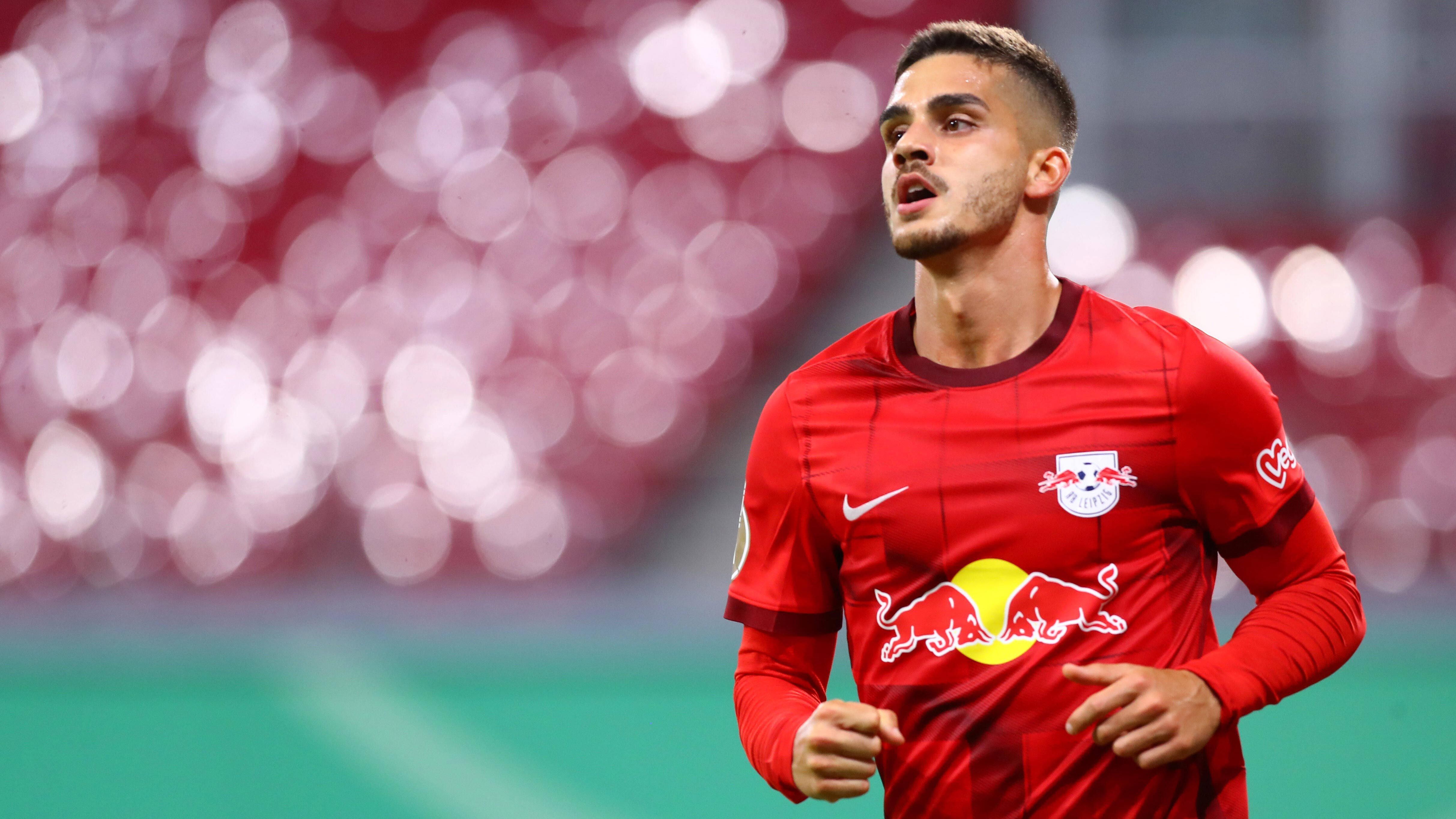 
                <strong>Portugal</strong><br>
                Bundesliga-Rekordtorschütze des Landes: Andre Silva - Bundesliga-Tore: 52 - Vereine: Eintracht Frankfurt, RB Leipzig
              