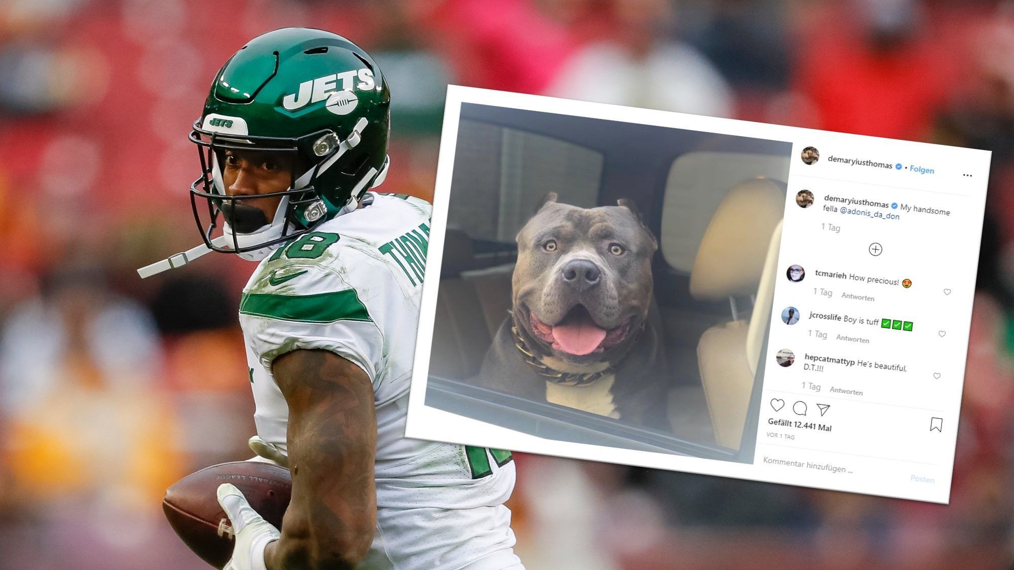 
                <strong>Demaryius Thomas</strong><br>
                Der American Bully von Demaryius Thomas stellt alle in den Schatten, denn "adonis_da_don" besitzt sogar seinen eigenen Instagram Account - ein süßer Genosse.
              