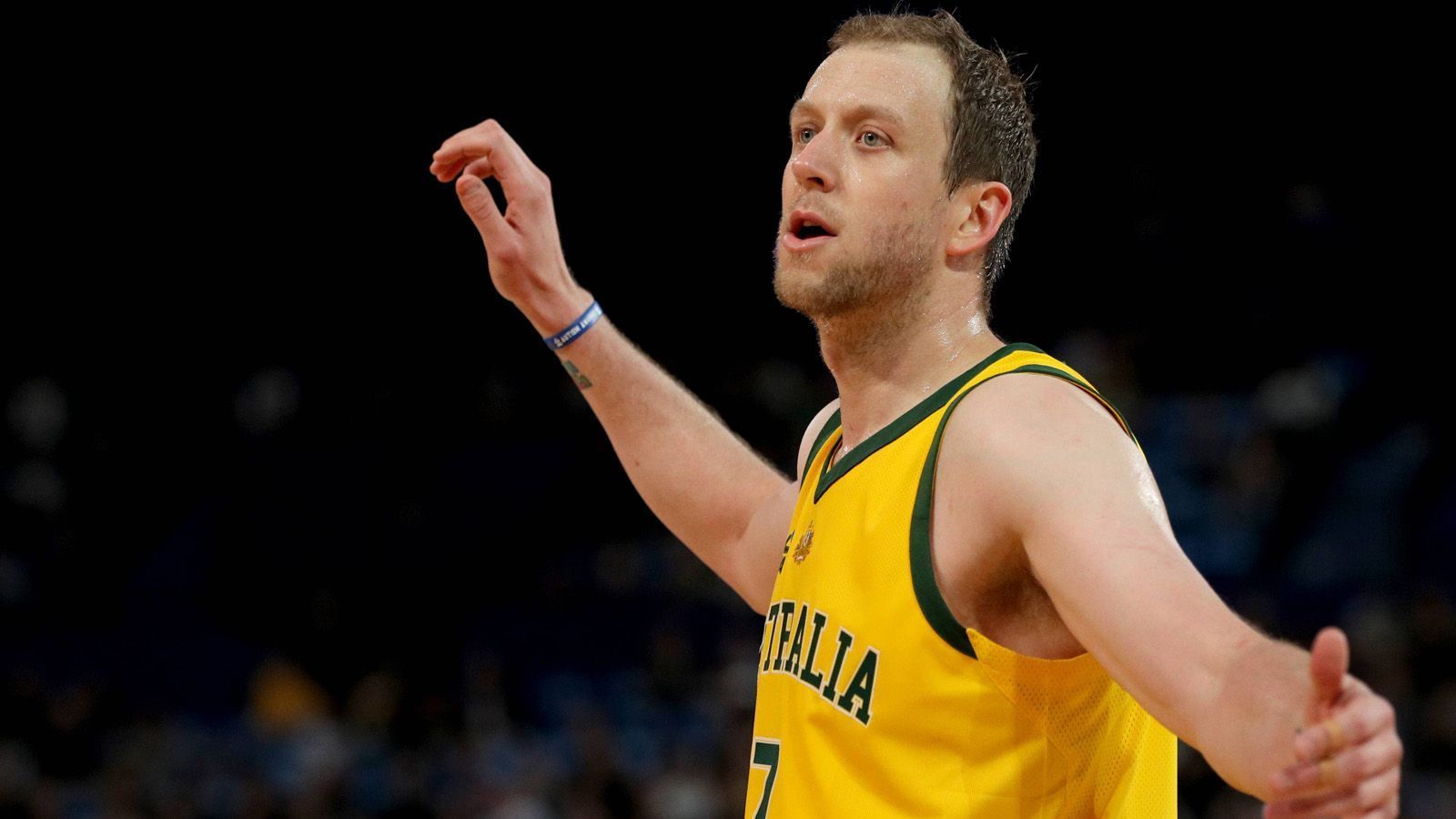 
                <strong>Joe Ingles (31, Australien)</strong><br>
                Team: Utah JazzPosition: Small Forward / Shooting GuardIn der NBA seit: 2014
              