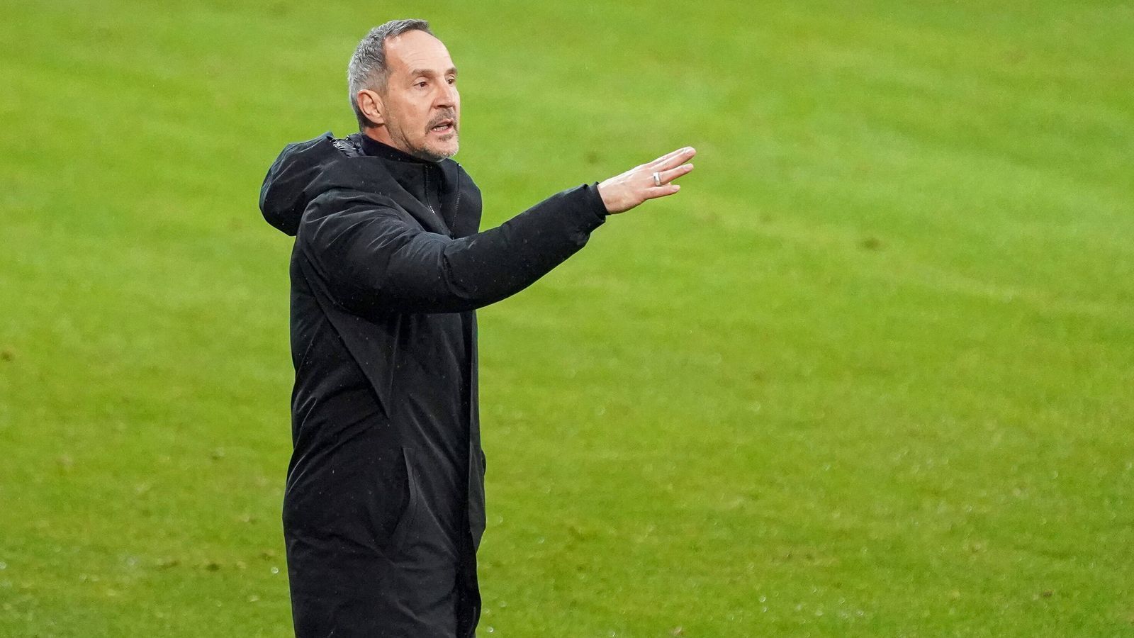 
                <strong>Adi Hütter</strong><br>
                &#x2022; Wechsel: Von Eintracht Frankfurt zu Borussia Mönchengladbach (2021) - <br>&#x2022; Ablösesumme: 7,5 Millionen Euro<br>
              