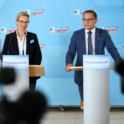  Alice Weidel und Tino Chrupalla