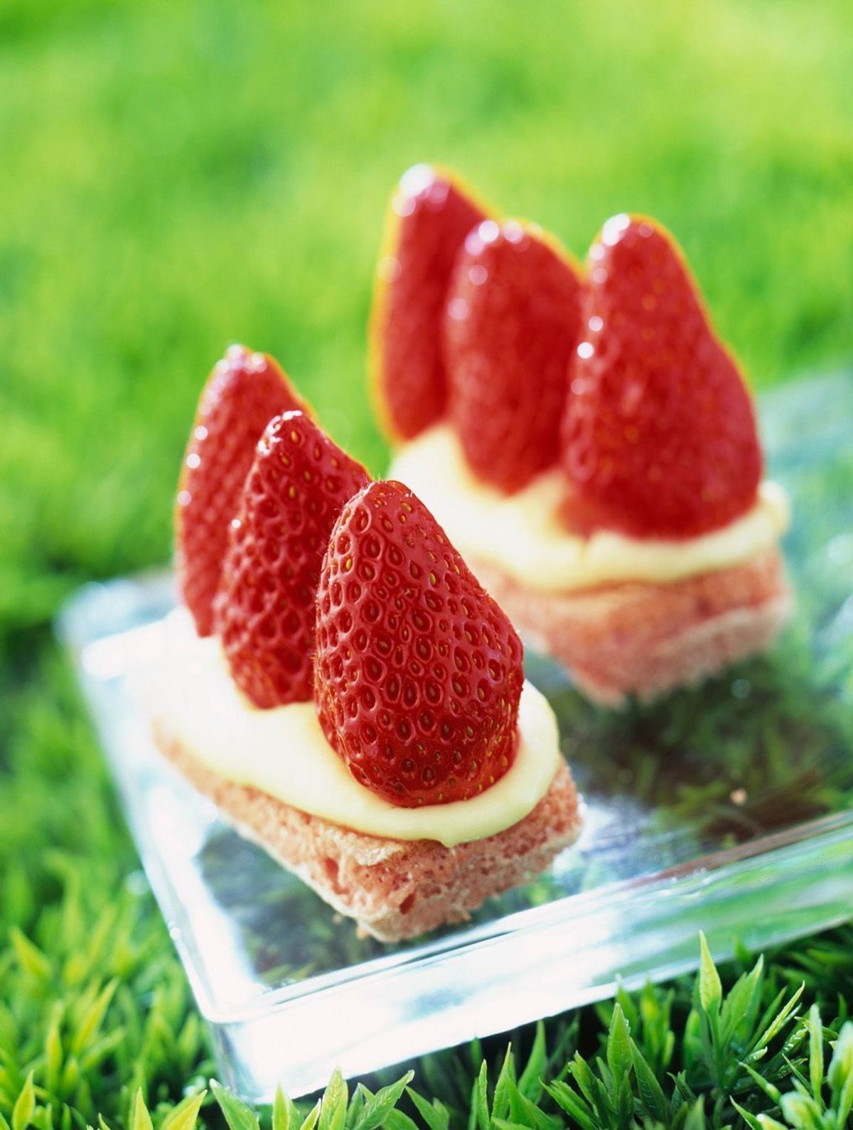 Enie backt: Rezept-Bild Rosenbiskuits mit Vanillecreme und Erdbeeren			