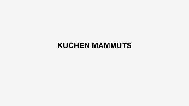 
                <strong>Kuchen Mammuts</strong><br>
                Seit 1995 gibt es das American-Football-Team Kuchen Mammuts. "One team - one dream - one family - we are Kuchen Mammuts." Mit diesem Motto starten die Schwaben aus Kuchen motiviert in jedes Spiel.
              