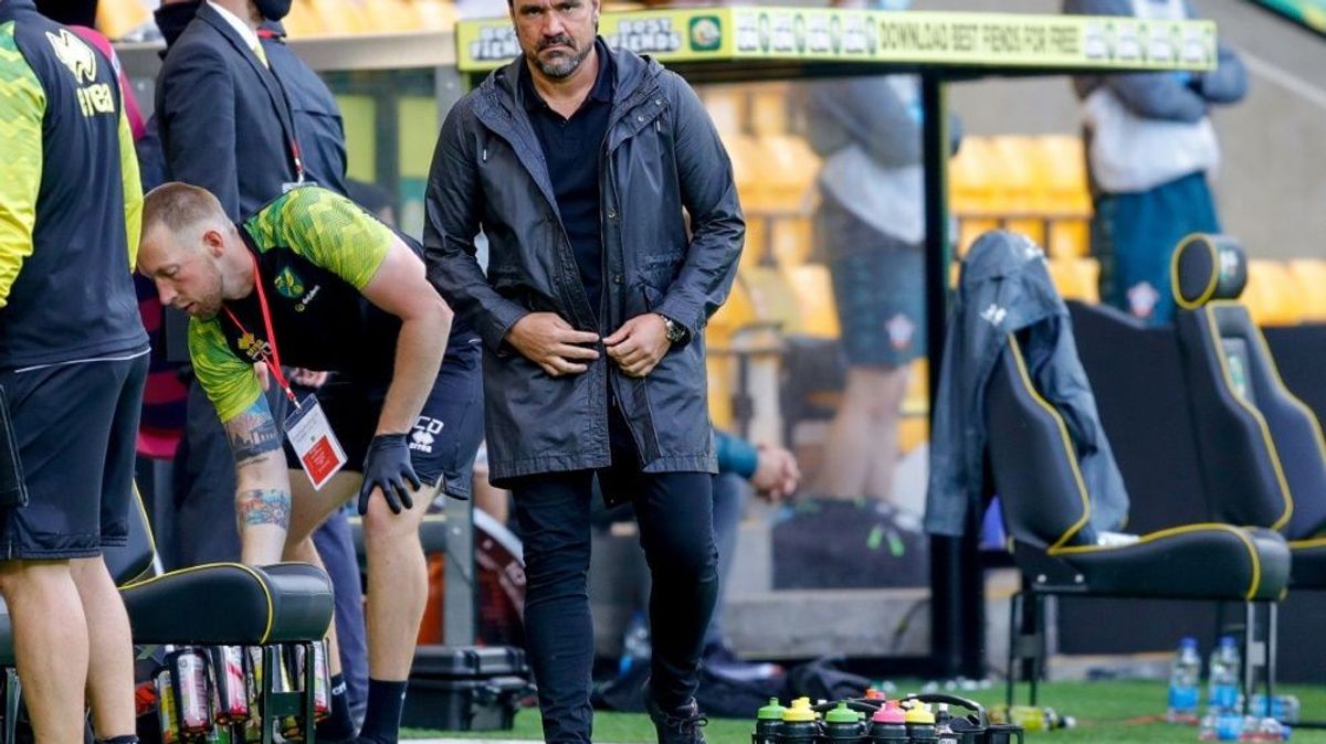 Daniel Farke steigt mit Norwich City ab