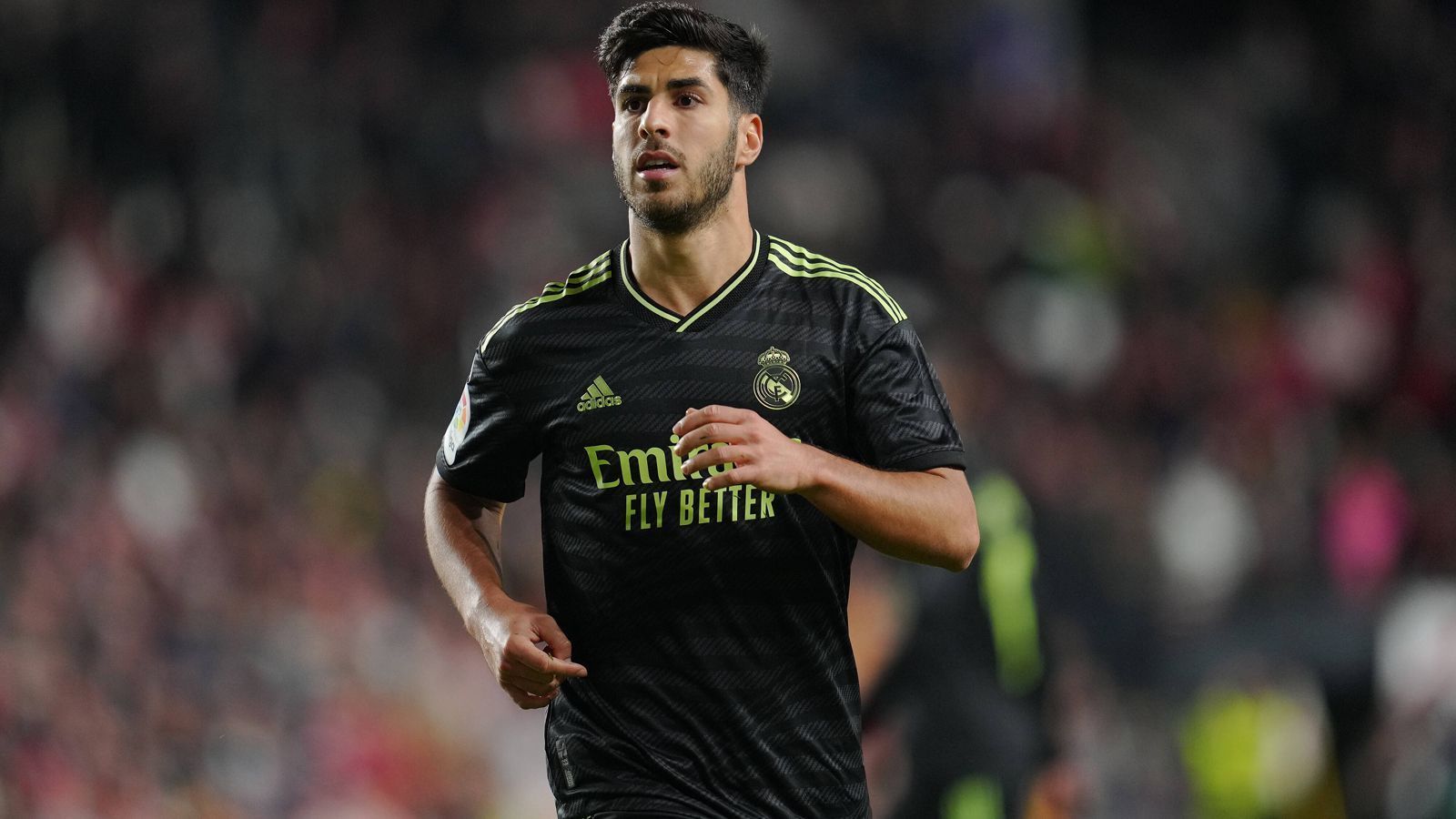 
                <strong>Marco Asensio</strong><br>
                &#x2022; Verein: Real Madrid<br>&#x2022; Position: Rechter Flügelspieler<br>&#x2022; Marktwert: 25 Millionen Euro<br>
              