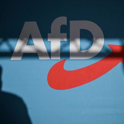 AfD Parteilogo