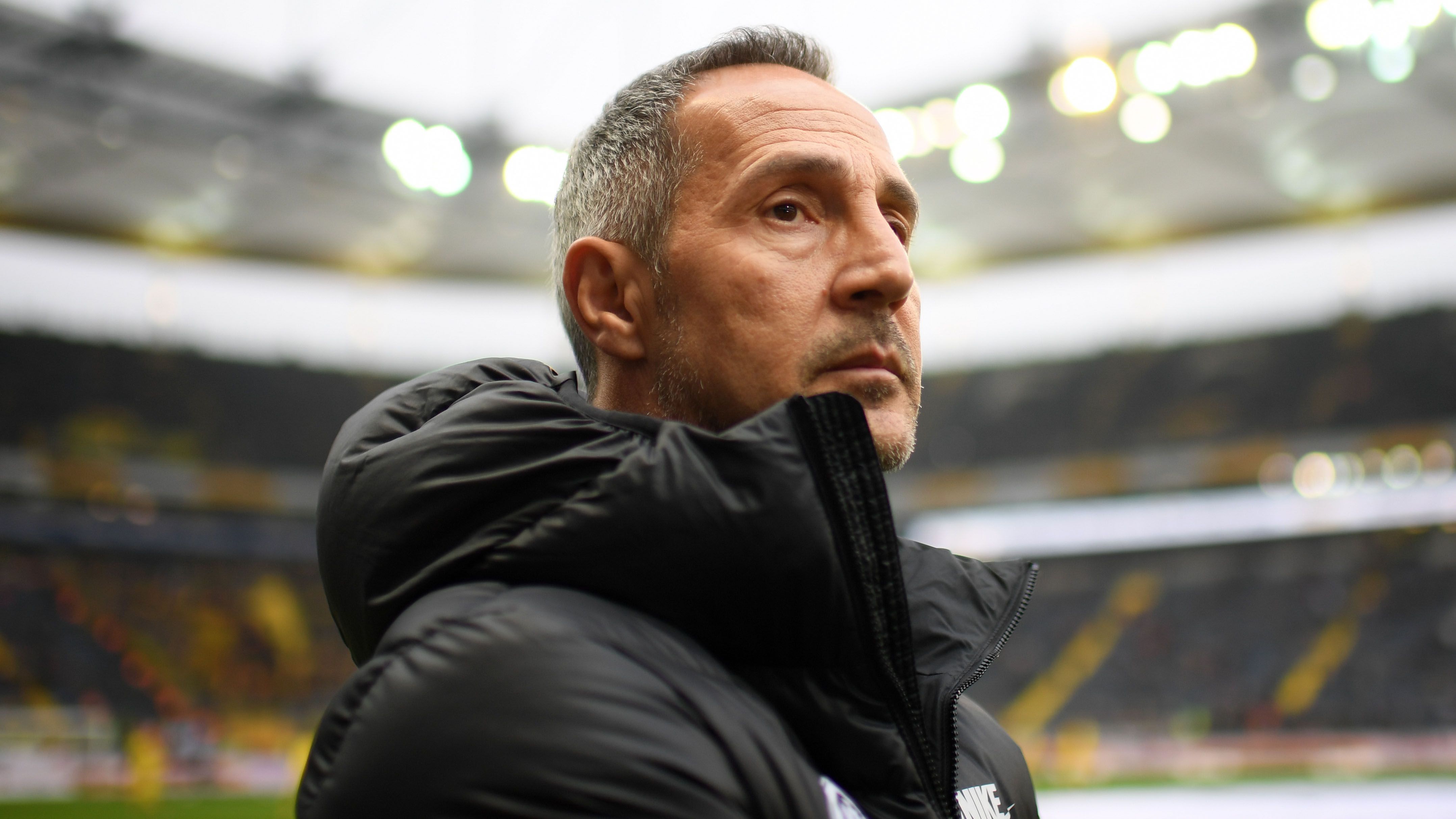 
                <strong>Trainer</strong><br>
                Adi Hütter von Eintracht Frankfurt, gewählt mit 41,8 Prozent. Auf Platz zwei: Florian Kohfeldt (Werder Bremen, 15 Prozent). Platz drei: Friedhelm Funkel (Fortuna Düsseldorf, 9,8 Prozent)
              