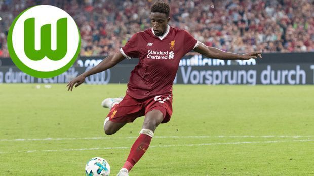 
                <strong>Divock Origi (von Liverpool zu Wolfsburg)</strong><br>
                Bei Liverpool war Divock Origi zumeist nur Ersatz, das soll sich in Wolfsburg ändern. Die "Reds" liehen den 22 Jahre alten Stürmer für ein Jahr zu den Niedersachsen aus, damit er regelmäßige Einsätze bekommt. Der VfL setzte sich angeblich gegen zahlreiche Interessenten durch, wie Tottenham, Crystal Palace, Marseille oder Anderlecht. "Mit Divock Origi haben wir unsere Offensiv-Abteilung noch einmal verstärkt. Divock hat seine Qualitäten bereits auf nationaler und internationaler Bühne nachgewiesen und verfügt trotz seines Alters bereits über enorme Erfahrung", sagte VfL-Sportdirektor Olaf Rebbe.
              