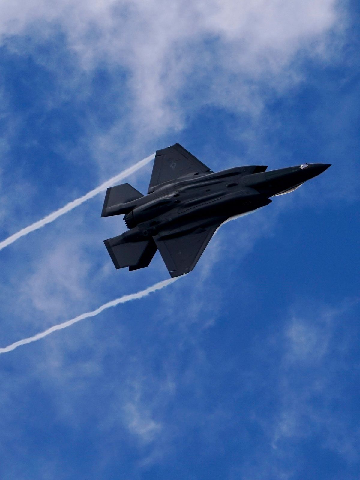 Die US-Luftwaffe will ihre Flieger mit "Roboter-Kojoten" vor gefährlichem Vogelschlag schützen.