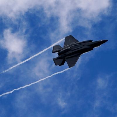 Die US-Luftwaffe will ihre Flieger mit "Roboter-Kojoten" vor gefährlichem Vogelschlag schützen.
