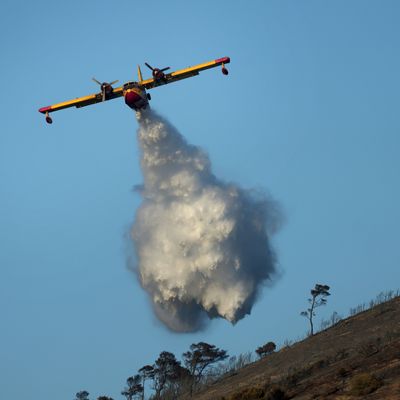 In Südfrankreich sind mehrere große Waldbrände ausgebrochen.