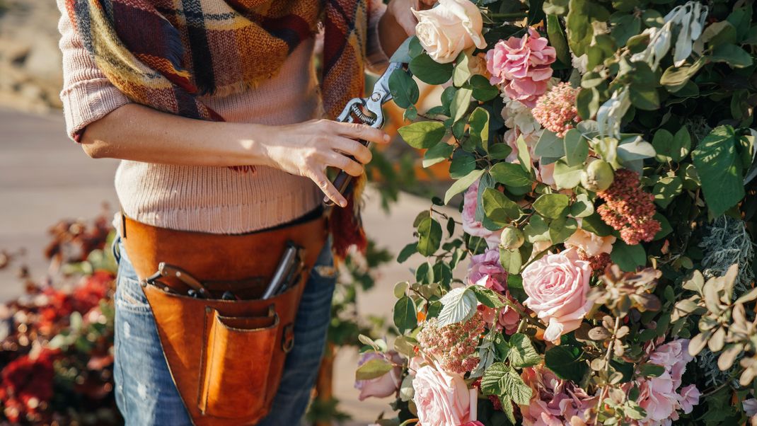 Du willst Rosen anpflanzen? Die Tage werden im Herbst kürzer und die Temperaturen sinken, da fühlen sich Rosen richtig wohl.