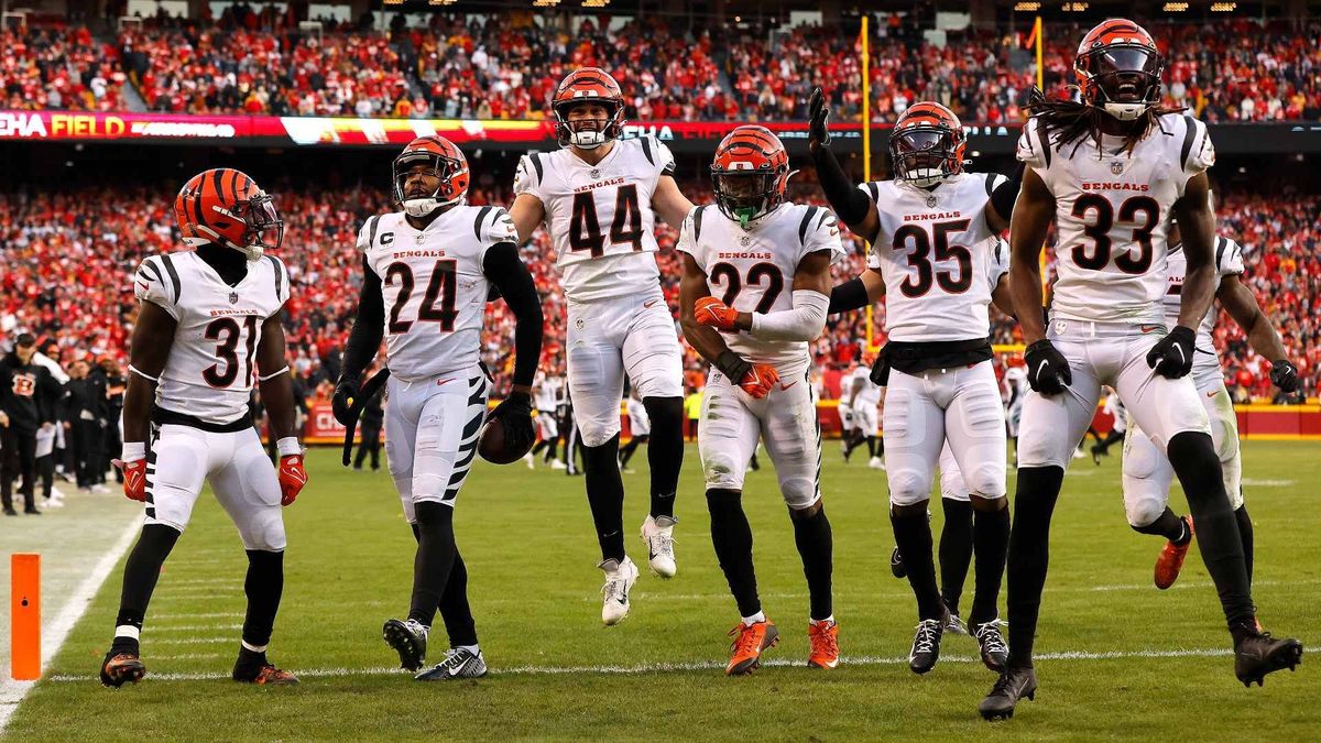 Cincinnati Bengals Defense