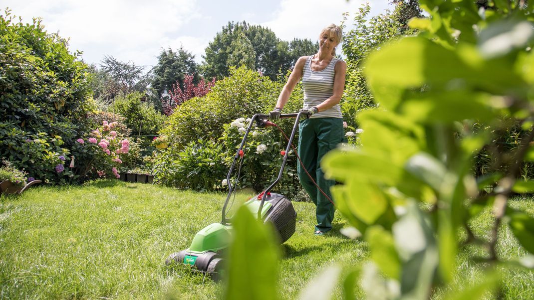 Ein grüner und gepflegter Rasen:&nbsp; Wir verraten dir,&nbsp; mit welchen Tipps dein Rasen schön und gesund wird