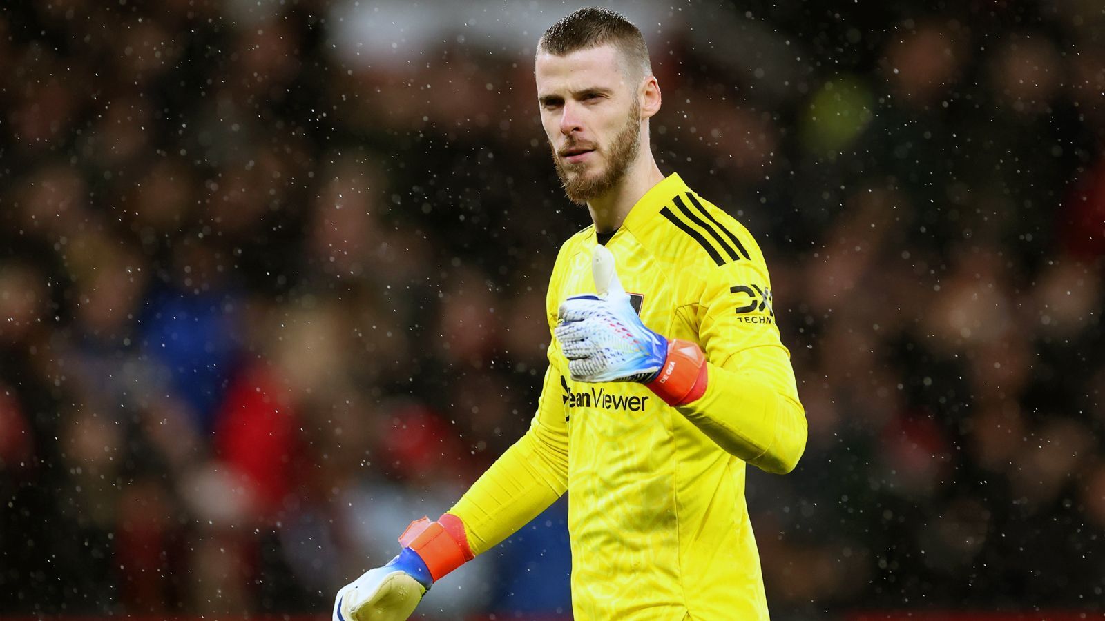 
                <strong>David de Gea (Manchester United)</strong><br>
                &#x2022; Liga-Spiele ohne Gegentor: 8<br>&#x2022; Einsätze: 20<br>&#x2022; Zu-Null-Quote: 40 Prozent<br>
              