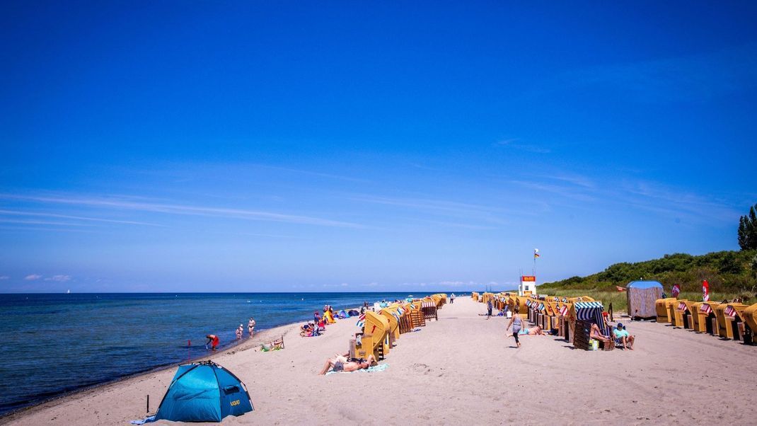 Der Sommer verspricht heiß zu werden, doch für die Umwelt ist das kein gutes Zeichen.