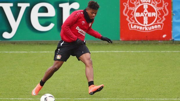 
                <strong>Flop - Leon Bailey (Bayer Leverkusen)</strong><br>
                Flop - Leon Bailey (Bayer Leverkusen): Acht Minuten Bundesliga, drei Minuten Champions League - das bisherige Arbeitszeugnis des Jamaikaners liest sich nicht gerade berauschend. Zuletzt stand der angeblich 13,5 Millionen Euro teure Winter-Neuzugang der Werkself nicht einmal mehr im Kader. Daran konnte auch der Trainerwechsel hin zu Tayfun Korkut nichts ändern. Der 19-Jährige scheint noch gravierende Anpassungsprobleme zu haben, schließlich spielte Bailey bislang "nur" in ersten Liga Belgiens bei Genk.
              