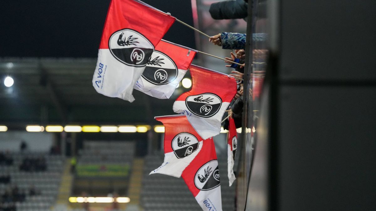 Fans auf der Tribüne im gut gefüllten Dreisamstadion, Fahne, BGV , Fussball, GooglePixel Frauen-Bundesliga, 9.Spieltag, 2024 2025, SC Freiburg vs. FC Bayern München, 08.11.2024, Dreisamstadion, Fre...