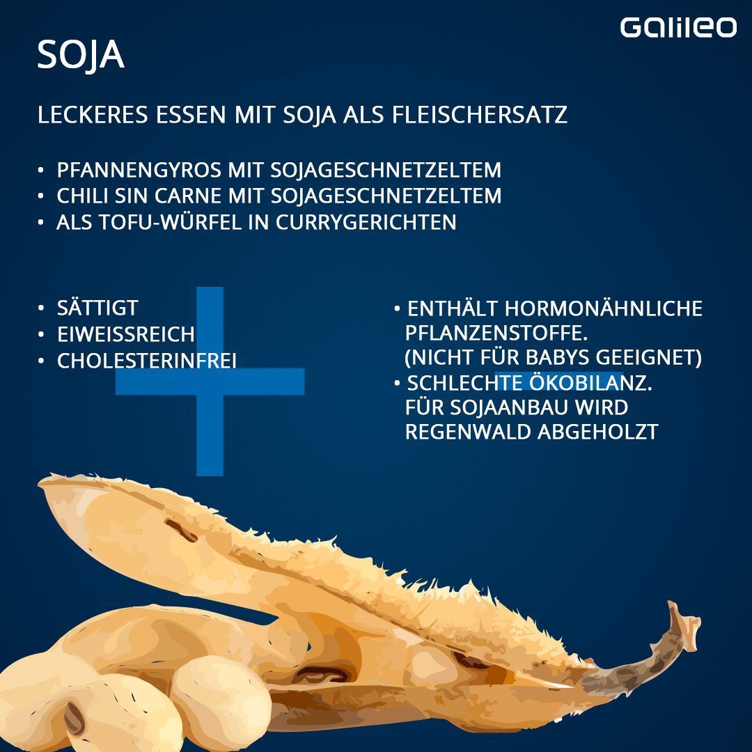 Pflanzliche Fleischalternativen im Check: Soja.