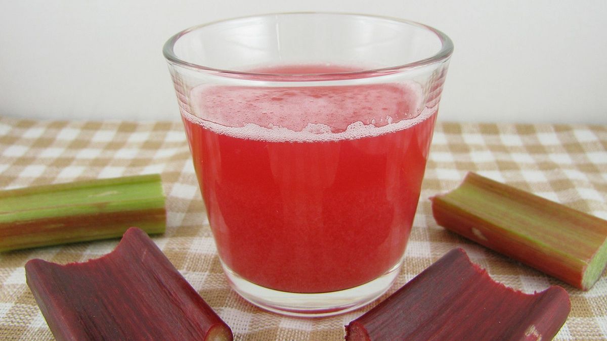 Fresh rhubarb juice and pieces of a rhubarb stick