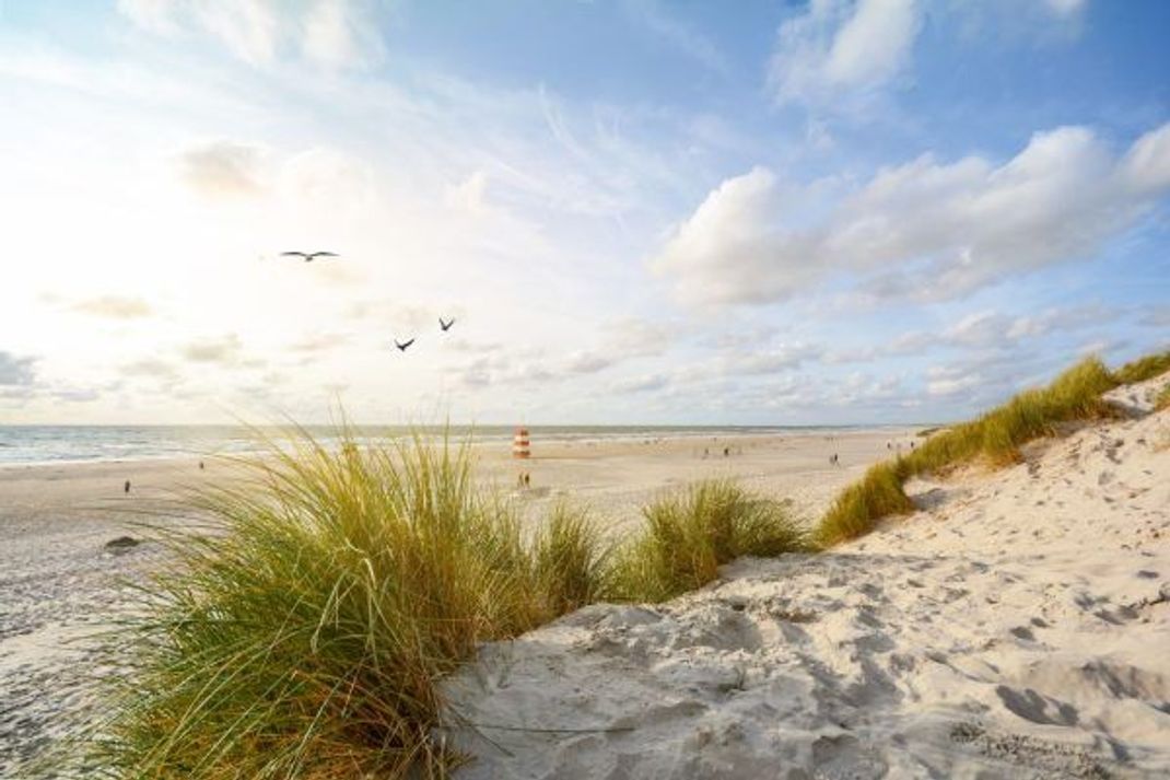 Sonne, Strand und Meer gibt's auch in Deutschland. Mit kleinen Fähren kannst du zum Beispiel Insel-Hopping auf der Nordsee machen.