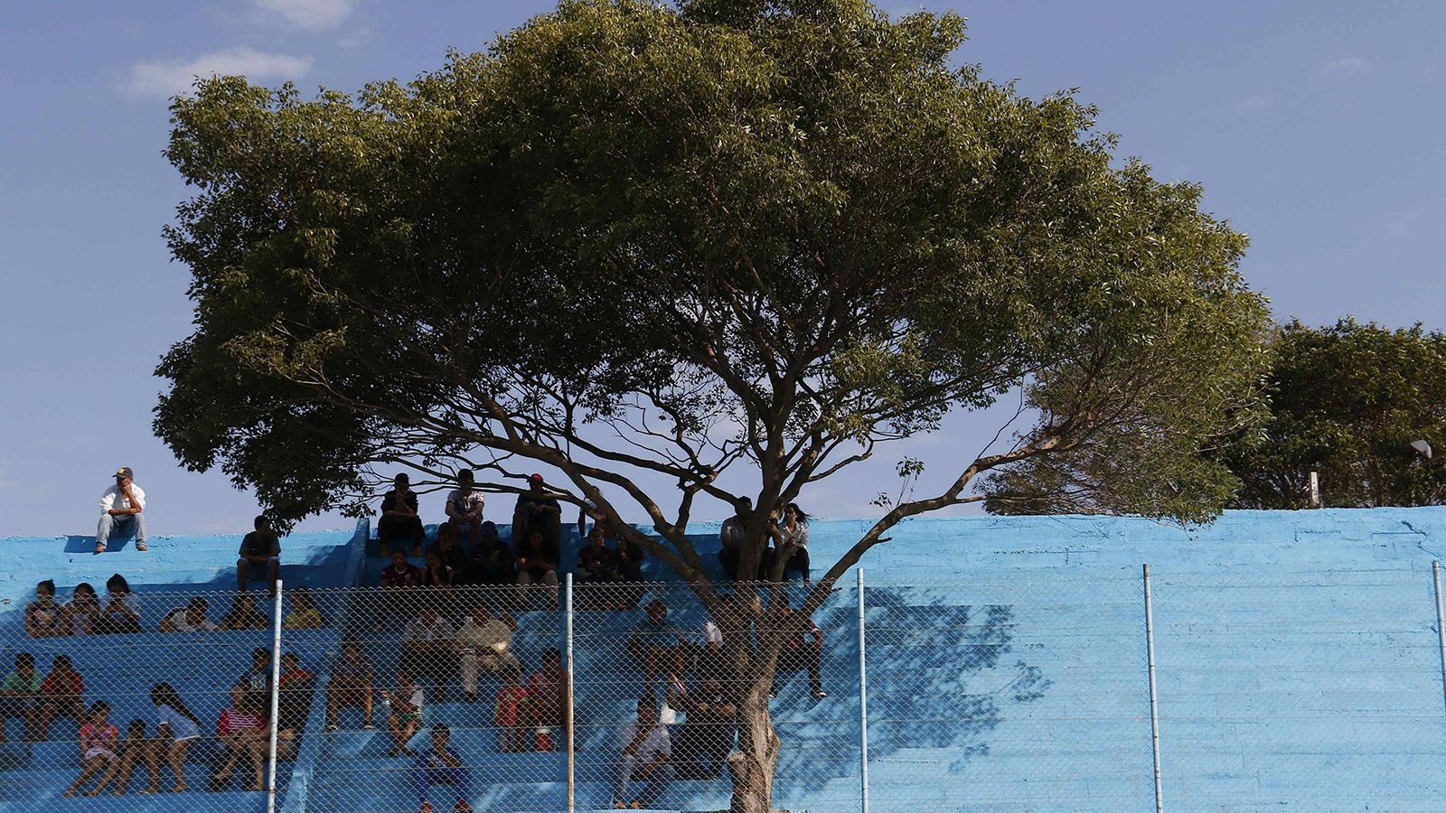 
                <strong>Estadio Tomas Beggan Correa (Paraguay)</strong><br>
                Beim paraguayischen Zweitligisten Resistencia Sport Club ist der treueste Zuschauer ein Baum. Der sogenannte Lapacho-Baum war schon da, bevor die Tribüne des Stadions gebaut wurde. "Wir haben keine Sekunde daran, gedacht ihn zu fällen", sagte Präsident Roberto Damian Garcete der Nachrichtenagentur "Efe". Also wurde die Tribüne um den Baum herum gebaut und das Gewächs zum beliebten Schattenspender und echten Star im Verein. Zum hundertjährigen Vereinsjubiläum hat der Klub ihn zum offizielle Ehrenmitglied des Vereins ernannt.
              