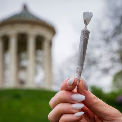 Joint im Englischen Garten