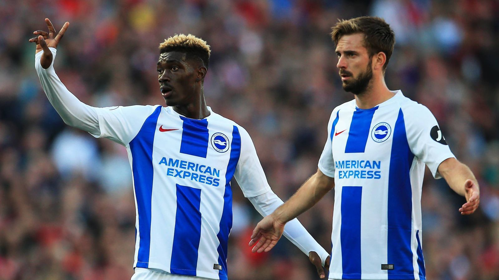 
                <strong>Platz16: Brighton & Hove Albion - 16,2 Prozent</strong><br>
                
              