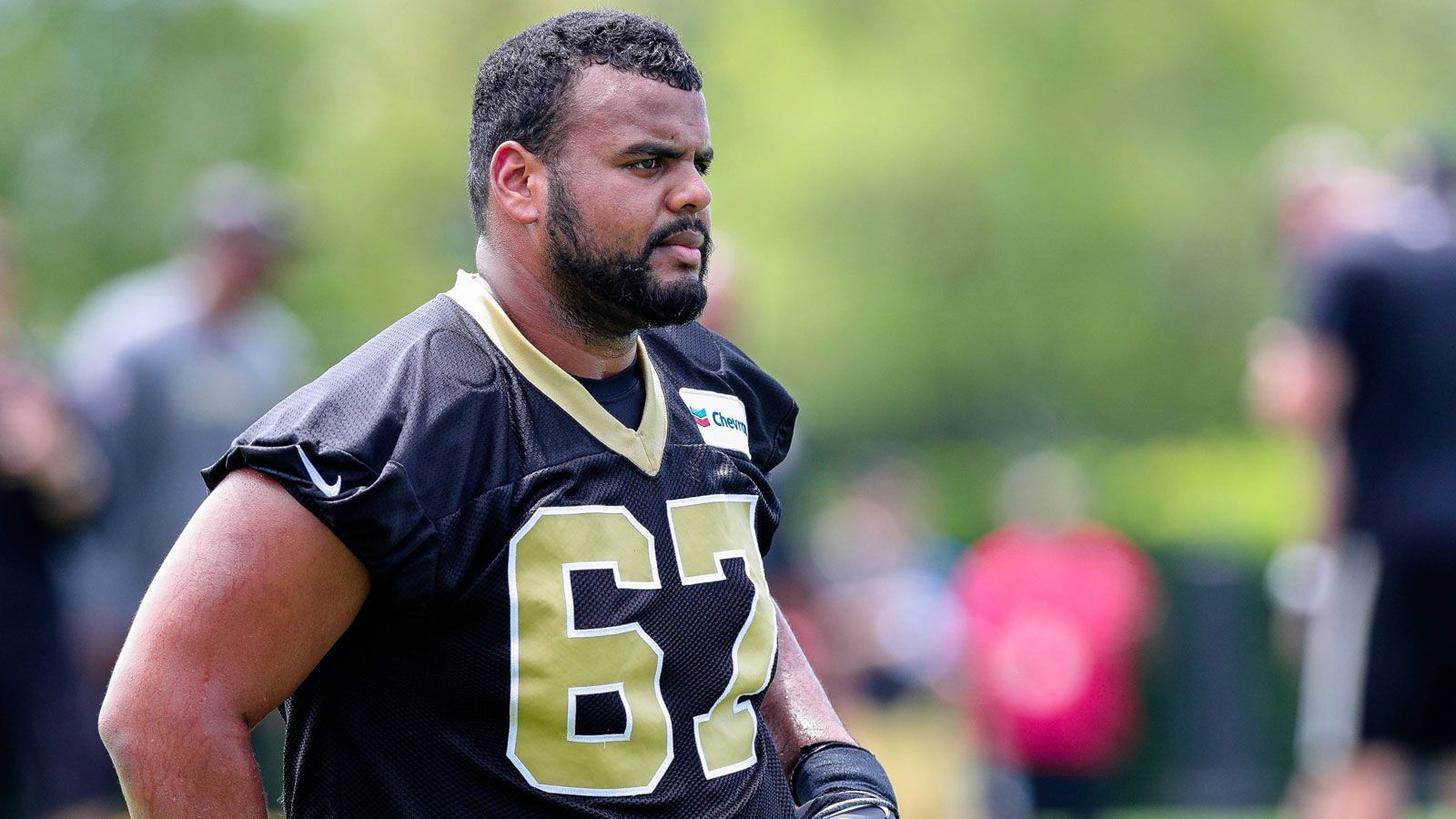 
                <strong>Larry Warford (Right Guard)</strong><br>
                Verein: New Orleans SaintsGesamtwertung: 77Speed-Wertung: 53
              