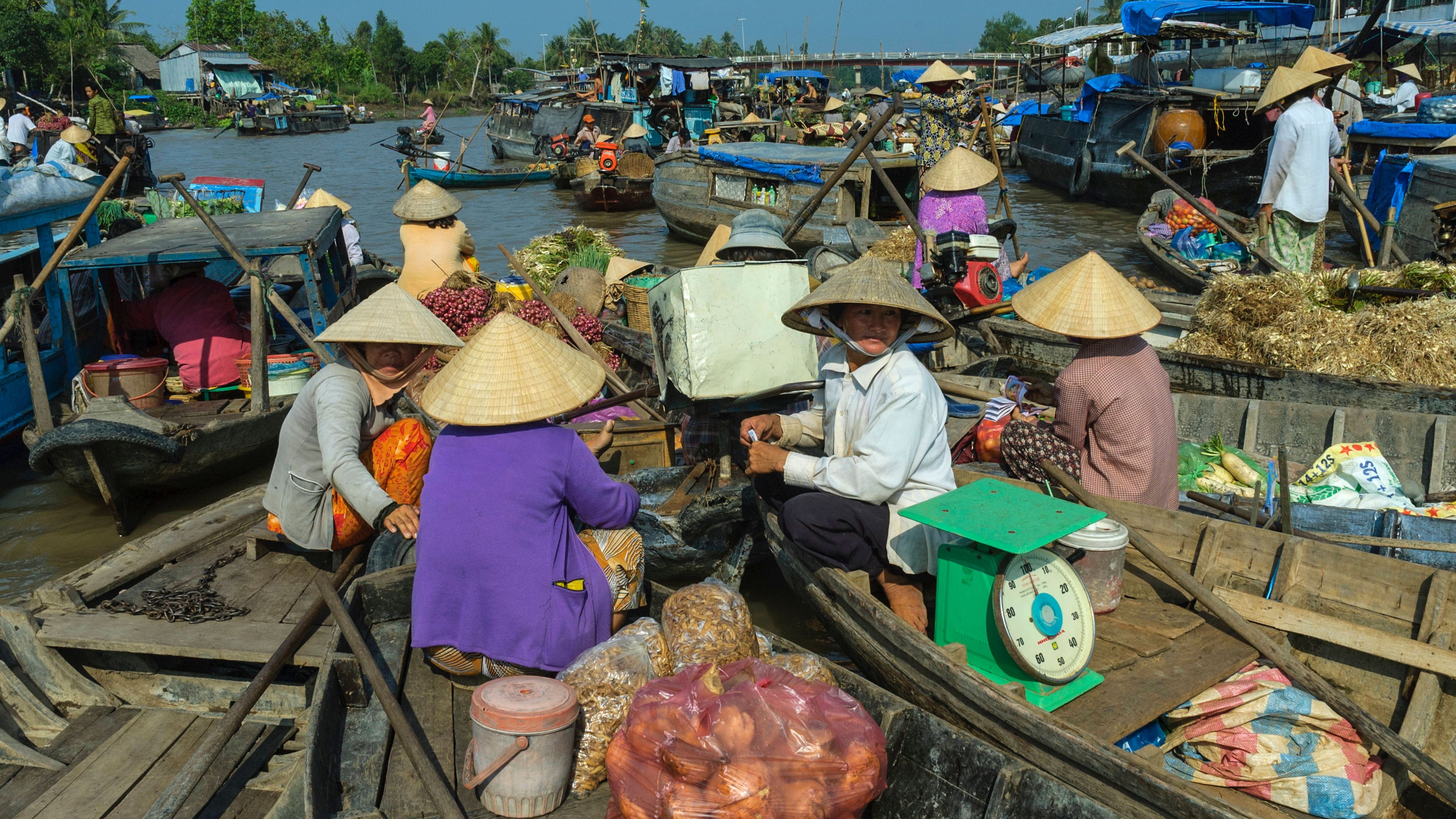 Das Mekong-Delta wird auch die „Reiskammer Vietnams“ genannt, denn dort herrschen die perfekten Bedingungen für den Reisanbau. Rund ein Drittel des Landesreichtums wird allein durch den Reishandel erwirtschaftet.