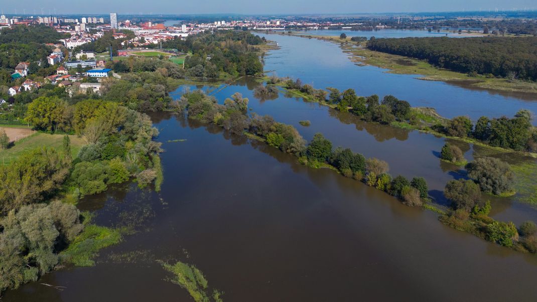 Die Pegelstände an der Oder steigen unaufhaltsam. Ratzdorf erreicht mit einem Pegelstand von 5,60 Metern die Alarmstufe 3.