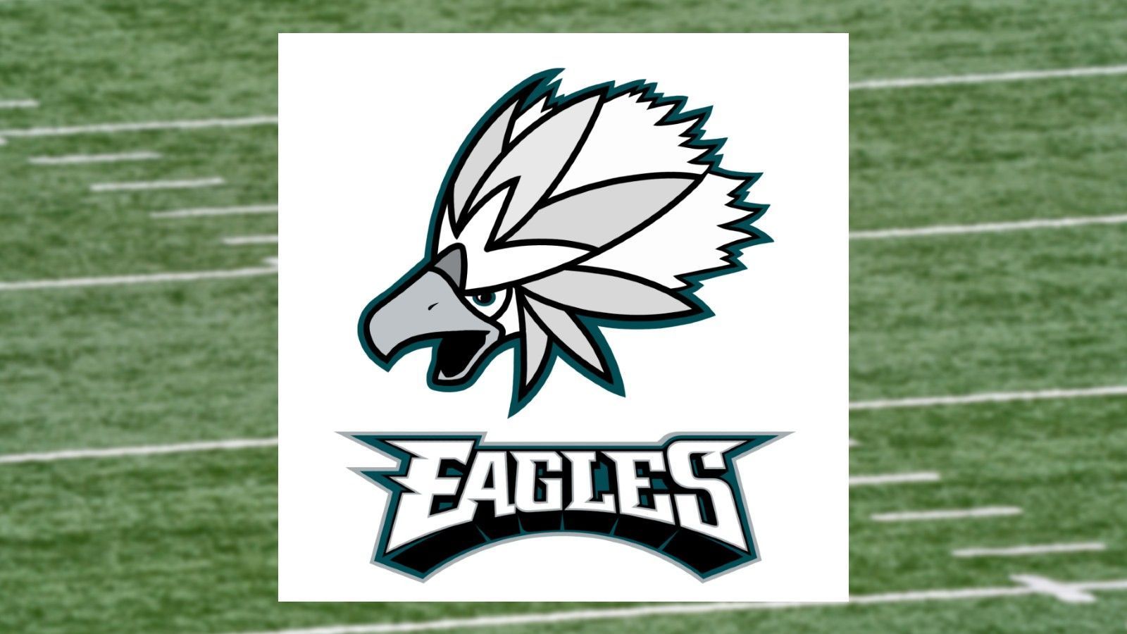 
                <strong>Philadelphia Eagles</strong><br>
                Pokemon: Washakwil
              