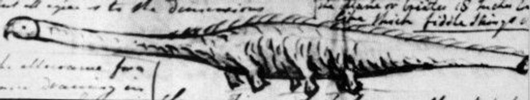 1808 wurde das "Stronsay Beast", wie es nach seinem Fundort benannt wurde, in einer Skizze festgehalten.