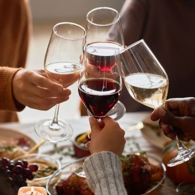 Group of people toasting celebrating Thanksgiving together