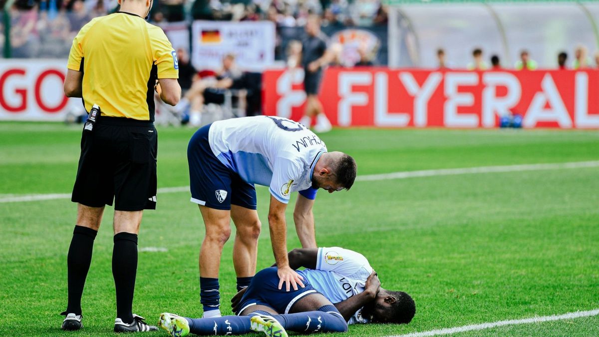 Fällt länger aus: Ibrahima Sissoko (unten)