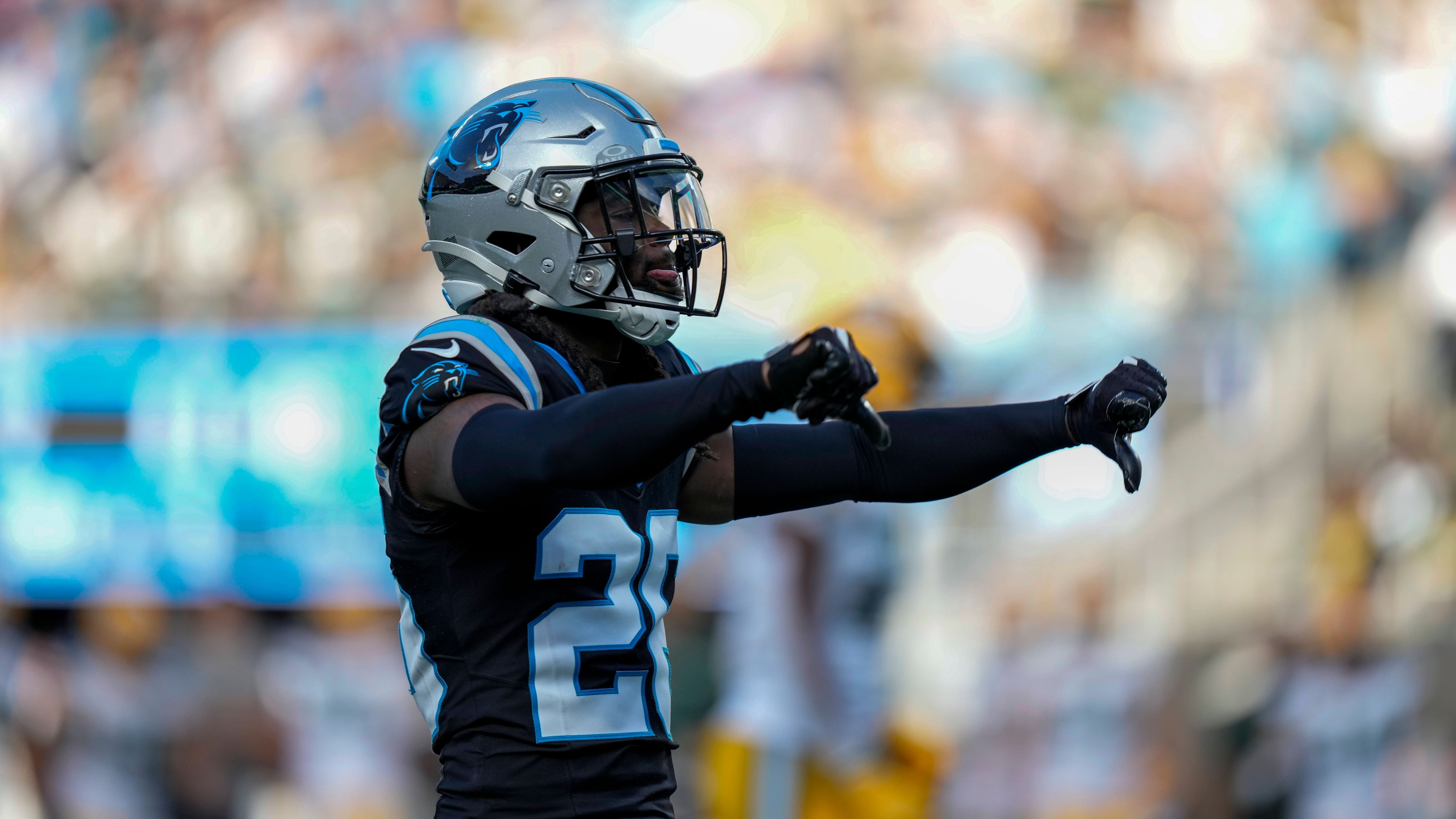 <strong>Carolina Panthers</strong><br>Bilanz: 29-53-1<br>Siegquote: 35.4%