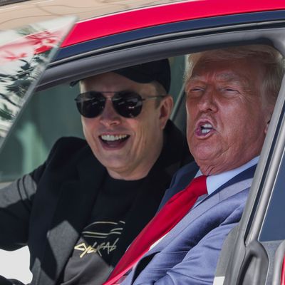 US-Präsident Donald Trump (r) und Tesla-CEO Elon Musk.