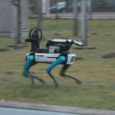 Roboterhund