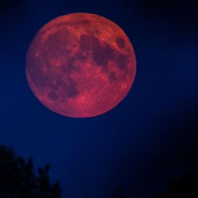 Blutrot zeigt sich der Mond in der Nacht vom 7. auf 8. September.