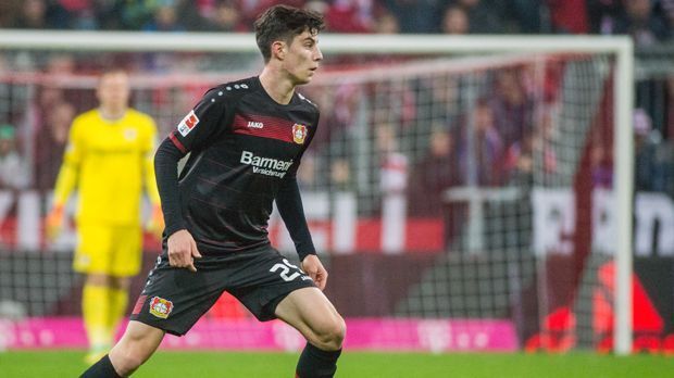 
                <strong>Kai Havertz (Bayer Leverkusen)</strong><br>
                Kai Havertz (Bayer Leverkusen): Neben Henrichs hat bei den Rheinländern auch noch der 17-jährige Havertz überzeugt. Der Mittelfeldspieler durfte bislang neun Mal in der Bundesliga für das Team von Coach Roger Schmidt ran. Sogar in der Champions League lief der Teenie schon für Bayer auf. Zu seinem großen Bundesliga-Glück fehlt Havertz jetzt nur noch das erste Bundesliga-Tor.
              