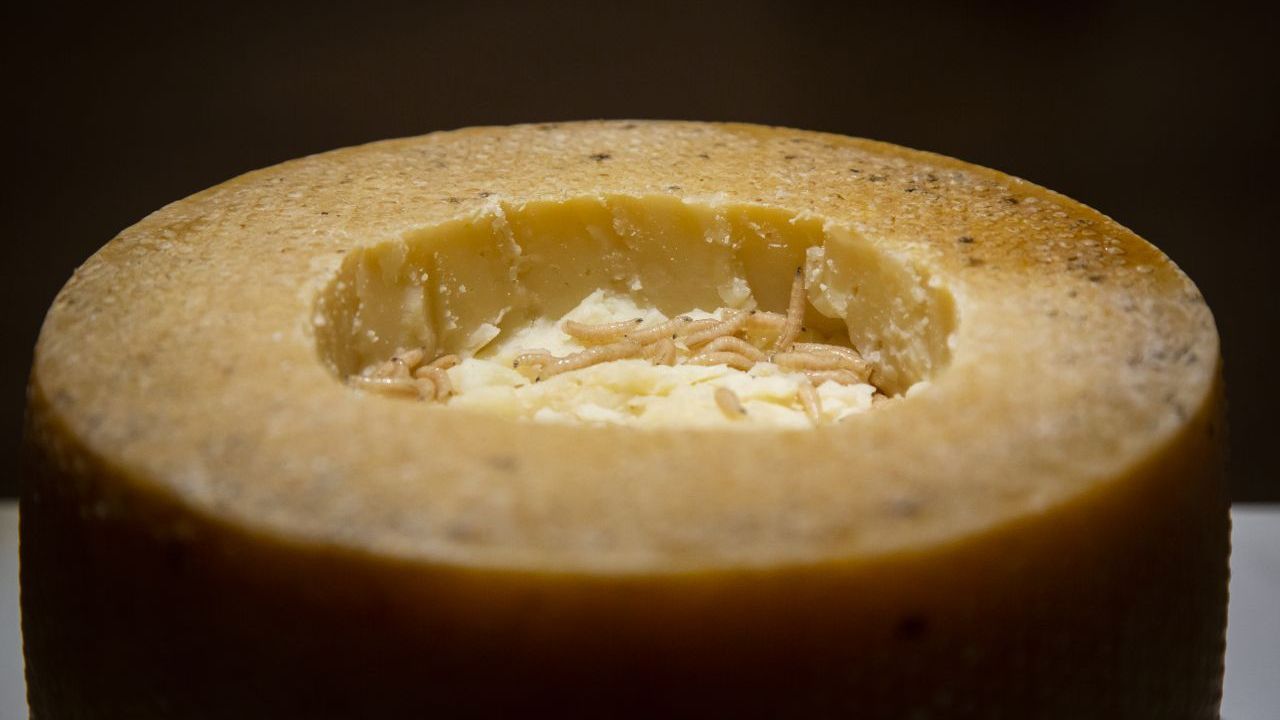 Im sardischen Käse Casu Marzu sind Maden. Sie werden einfach mitgegessen. 
