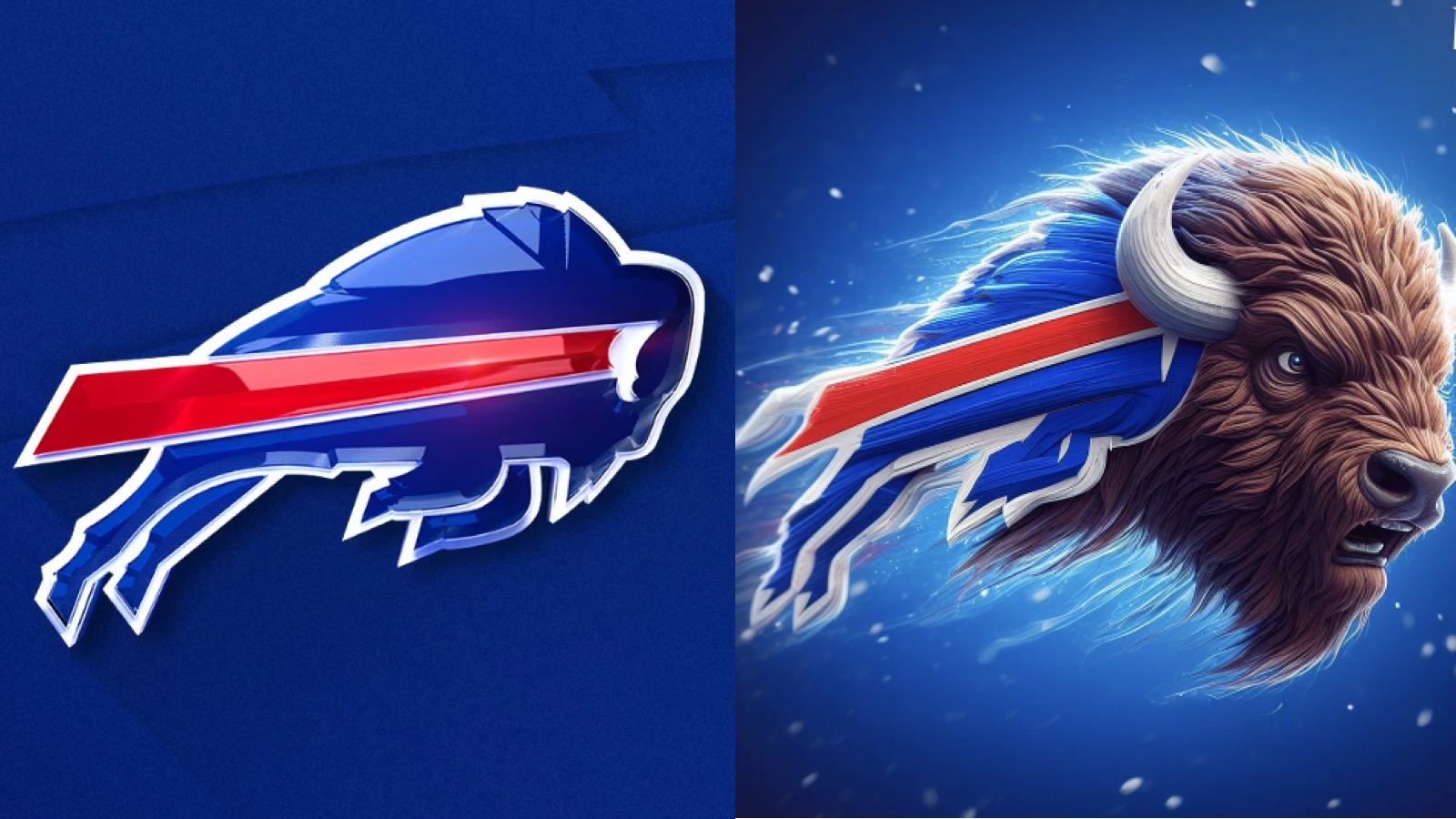 <strong>Buffalo Bills</strong>